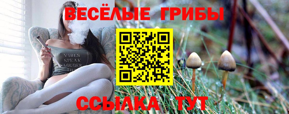 Чапаевск  Псилоцибиновые грибы мицелий  Псилоцибиновые грибы Psilocybe  Вход с VPN 