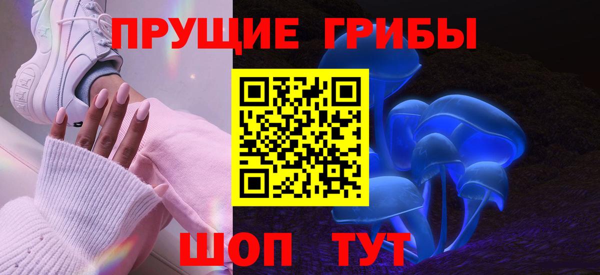 Псилоцибиновые грибы мицелий Чапаевск